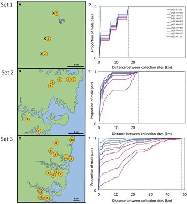 Males Are Capable of Long-Distance Dispersal in a Social Bee